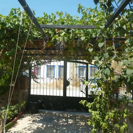 Guemuesluek Stuedyo Kuecuekev-1 * Bodrum