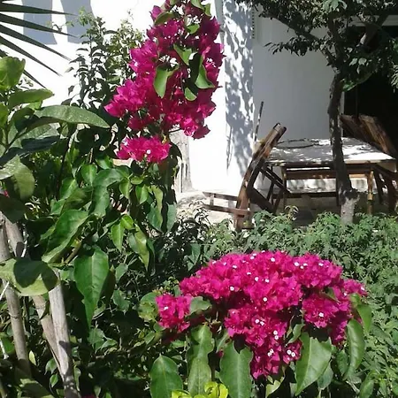 Guemuesluek Stuedyo Kuecuekev-1 * Bodrum