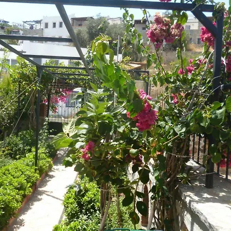 Guemuesluek Stuedyo Kuecuekev-1 Bodrum