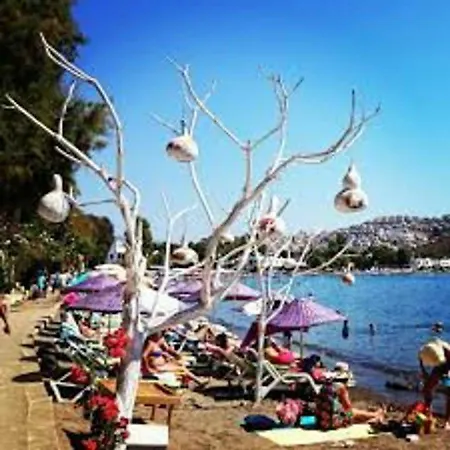 Guemuesluek Stuedyo Kuecuekev-1 Apartment Bodrum